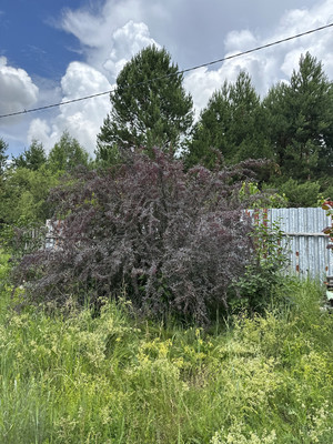 Продам участок 15 соток, ИЖС, Сурская ул, 8, Муравьевка п, 0 км от города