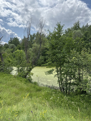 Продам участок 15 соток, ИЖС, Сурская ул, 8, Муравьевка п, 0 км от города