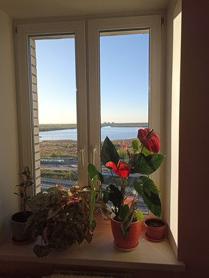 Продам трехкомнатную (3-комн.) квартиру, Савушкина ул, 140, Санкт-Петербург г