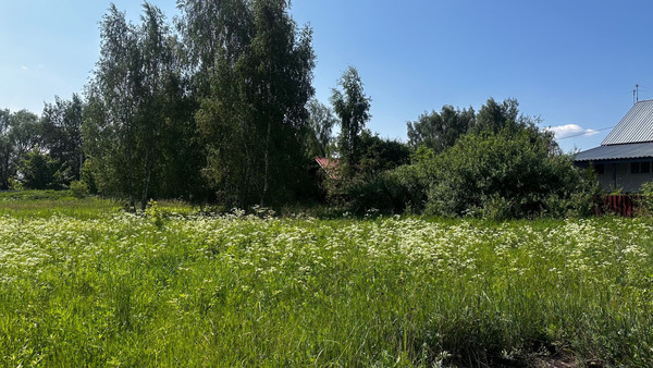 Продам участок 5 соток, ИЖС, Заречная ул, Поповка д, 0 км от города