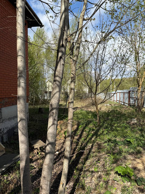 Продам дом, 170, Лукошкино д, 0 км от города