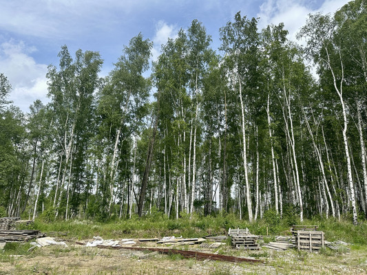 Продам участок 15 соток, ИЖС, Южная ул, Новая Разводная п, 0 км от города