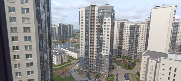 Продам трехкомнатную (3-комн.) квартиру, Русановская ул, 19Ак4, Санкт-Петербург г