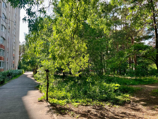 Продам однокомнатную (1-комн.) квартиру, Владимира Невского ул, 39б, Воронеж г