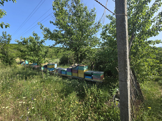 Продам дом, Эфсане ул, 6, Грушевка с, 0 км от города