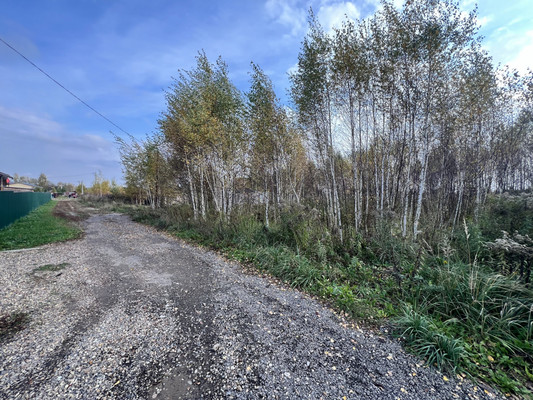 Продам участок 31 соток, Фермерское хоз., Дачный поселок Ясные Зори тер, Нефедьево с, 0 км от города