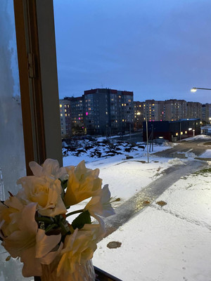 Продам двухкомнатную (2-комн.) квартиру, Рябиновая ул, 30, Янино-2 д