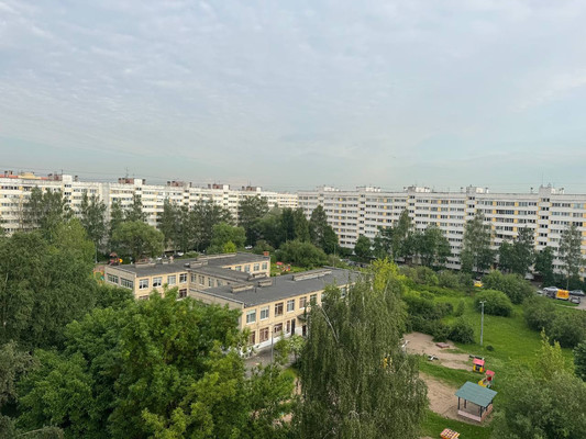 Продам однокомнатную (1-комн.) квартиру, Стойкости ул, 26к1, Санкт-Петербург г
