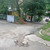 Продам трехкомнатную (3-комн.) квартиру, Воровского ул, 4, Туапсе г