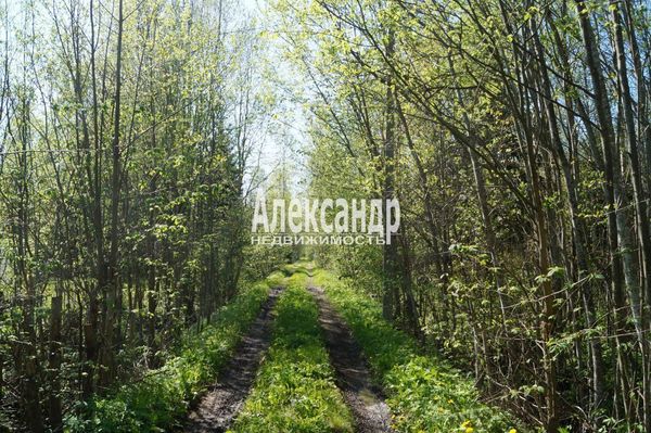 Продам участок 10 соток, Садоводство, Мыза д, 100 км от города