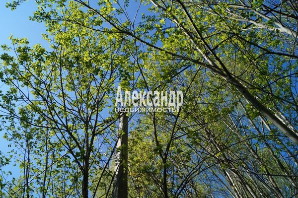 Продам участок 10 соток, Садоводство, Мыза д, 100 км от города