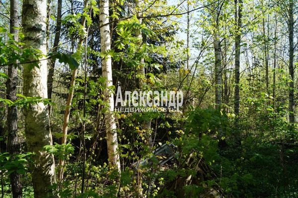 Продам участок 10 соток, Садоводство, Мыза д, 100 км от города
