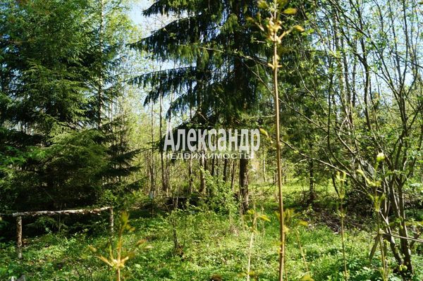 Продам участок 10 соток, Садоводство, Мыза д, 100 км от города