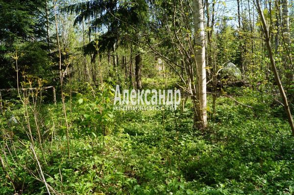 Продам участок 10 соток, Садоводство, Мыза д, 100 км от города