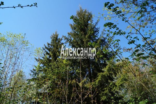 Продам участок 10 соток, Садоводство, Мыза д, 100 км от города