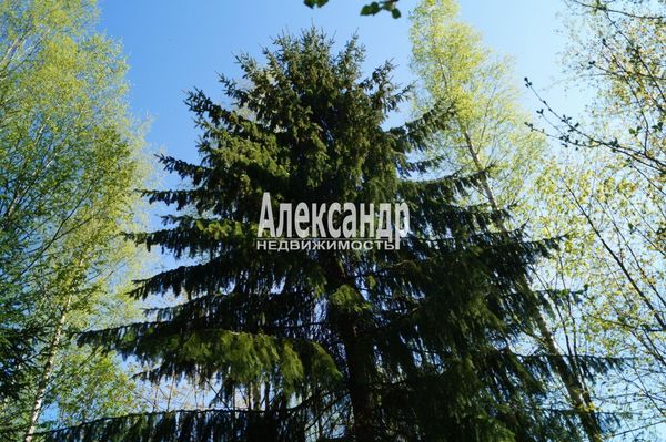 Продам участок 10 соток, Садоводство, Мыза д, 100 км от города
