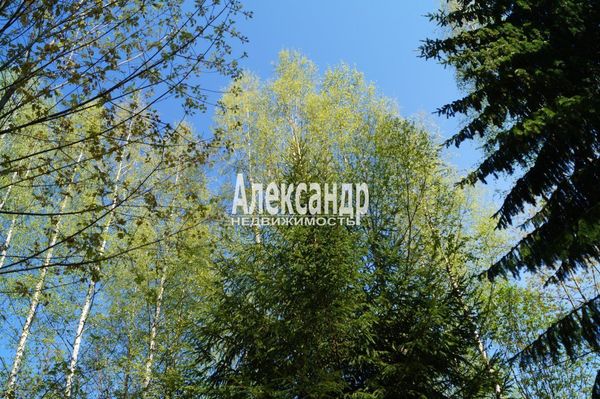 Продам участок 10 соток, Садоводство, Мыза д, 100 км от города