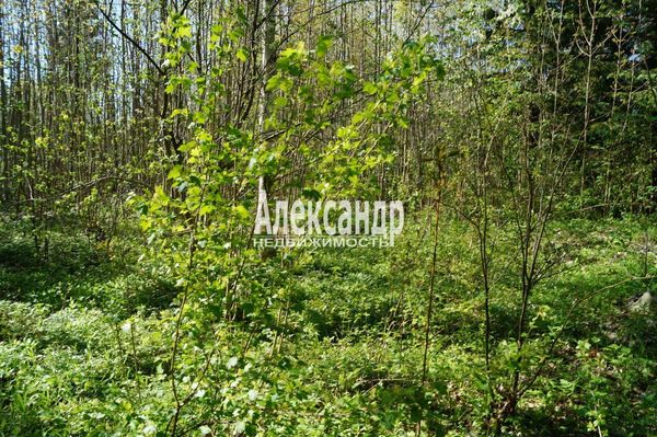 Продам участок 10 соток, Садоводство, Мыза д, 100 км от города
