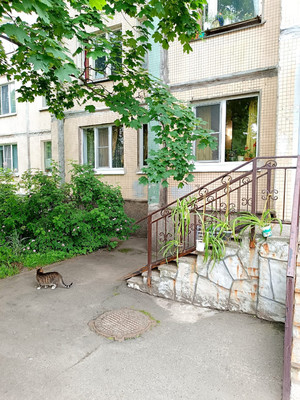 Продам однокомнатную (1-комн.) квартиру, Косыгина пр-кт, 28к5, Санкт-Петербург г