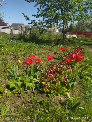 Продам дом, 77, Чулково д, 0 км от города