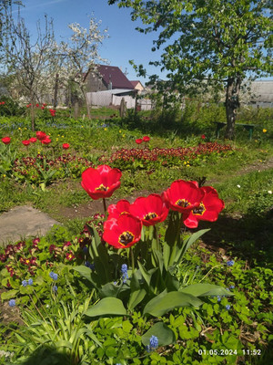 Продам дом, 77, Чулково д, 0 км от города