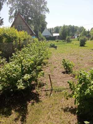 Продам дачу, Мира ул, Ярково с, 30 км от города