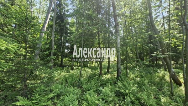 Продам участок 8 соток, ИЖС, Моховая ул, Вартемяги д, 10 км от города