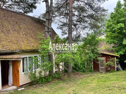 Продам дачу в поселке СНТ &amp;quot;Севкабель&amp;quot;, СНТ Севкабель массива Орехово 67-69 км тер, 53 км от города
