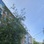 Продам двухкомнатную (2-комн.) квартиру, Северная ул, 24, Октябрьский г