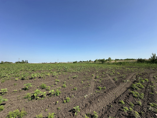 Продам землю для коммерческого использования 2,6 соток, Мира ул, Кореновск г