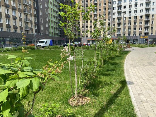 Продам однокомнатную (1-комн.) квартиру, Берёзовая аллея, 19к6, Москва г