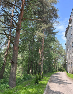 Сдам трехкомнатную (3-комн.) квартиру, Заозерная ул, 1, Кузьмоловский гп