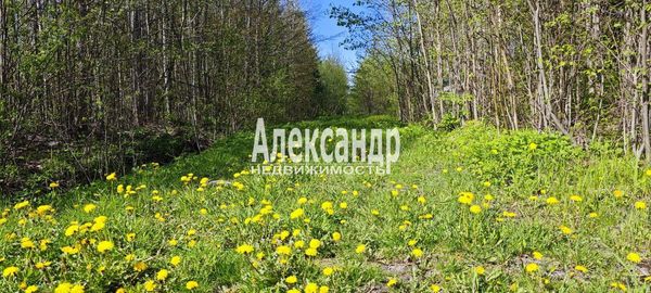 Продам участок 10 соток, СНТ, поселок Належда, 490, СНТ Надежда массива Нечеперть тер, 45 км от города