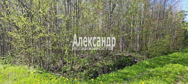 Продам участок 10 соток, СНТ, поселок Належда, 490, СНТ Надежда массива Нечеперть тер, 45 км от города