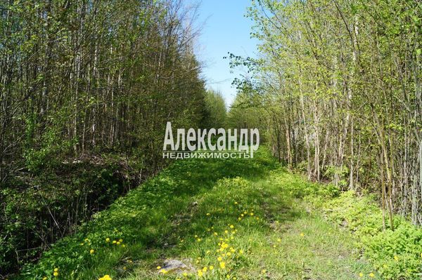 Продам участок 10 соток, СНТ, поселок Належда, 490, СНТ Надежда массива Нечеперть тер, 45 км от города