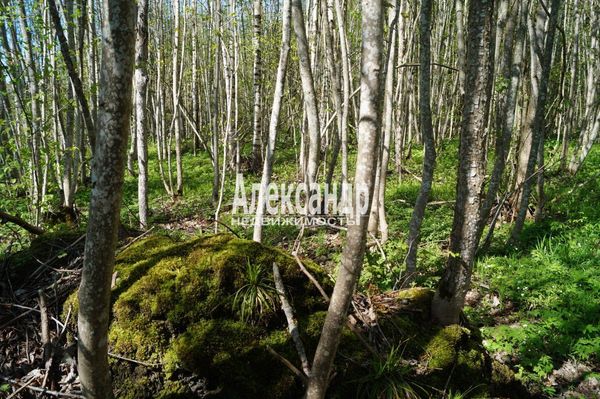Продам участок 10 соток, СНТ, поселок Належда, 490, СНТ Надежда массива Нечеперть тер, 45 км от города