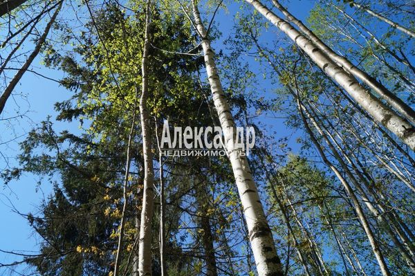 Продам участок 10 соток, СНТ, поселок Належда, 490, СНТ Надежда массива Нечеперть тер, 45 км от города