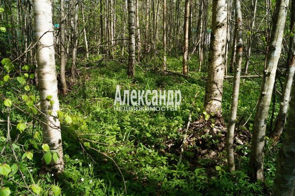 Продам участок 10 соток, СНТ, поселок Належда, 490, СНТ Надежда массива Нечеперть тер, 45 км от города