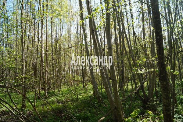Продам участок 10 соток, СНТ, поселок Належда, 490, СНТ Надежда массива Нечеперть тер, 45 км от города