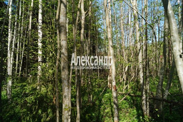 Продам участок 10 соток, СНТ, поселок Належда, 490, СНТ Надежда массива Нечеперть тер, 45 км от города