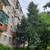 Продам двухкомнатную (2-комн.) квартиру, Мира ул, 37, Йошкар-Ола г