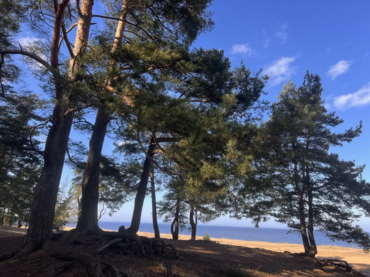 Продам участок 15 соток, ИЖС, Мира ул, Лебяжье гп, 0 км от города