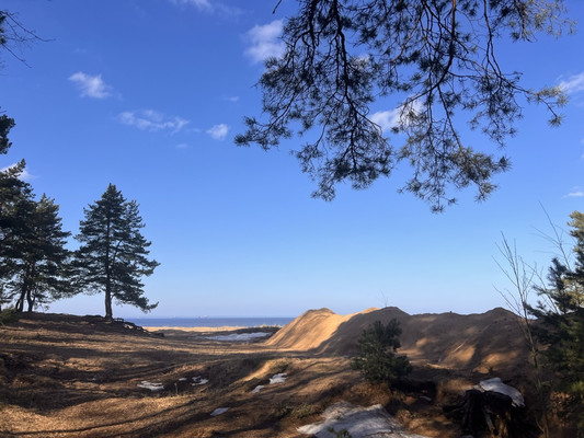 Продам участок 15 соток, ИЖС, Мира ул, Лебяжье гп, 0 км от города