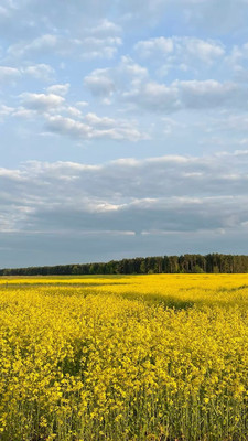 Продам землю для коммерческого использования 13 соток, Фермерское хоз., Мира ул, Новотитаровская ст-ца