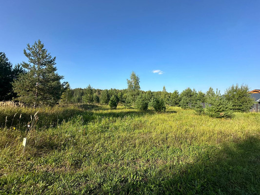 Продам участок 9,9 соток, Фермерское хоз., Подосинки д, 0 км от города