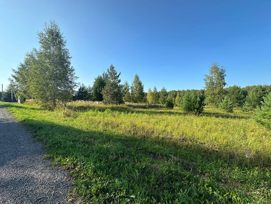 Продам участок 9,9 соток, Фермерское хоз., Подосинки д, 0 км от города