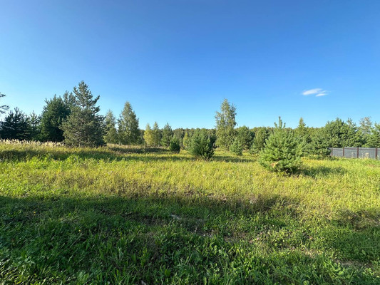 Продам участок 9,9 соток, Фермерское хоз., Подосинки д, 0 км от города