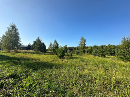 Продам участок 9,9 соток, Фермерское хоз., Подосинки д, 0 км от города