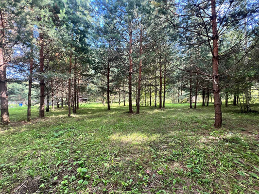 Продам участок 12 соток, Фермерское хоз., Подосинки д, 0 км от города