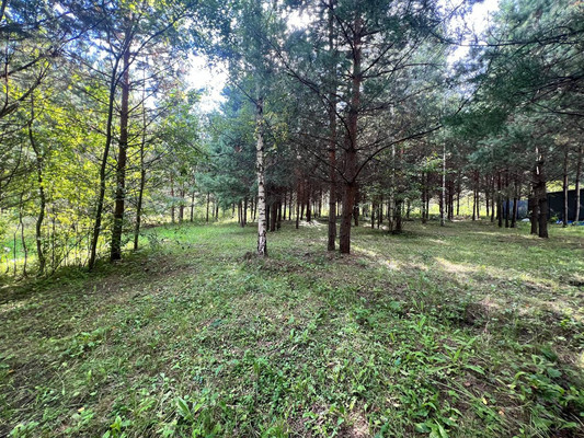 Продам участок 12 соток, Фермерское хоз., Подосинки д, 0 км от города